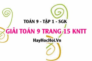 Giải Toán 9 trang 15 tập 1 Kết nối tri thức SGK